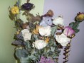 /album/fotogalerie/pic-0171-jpg1/